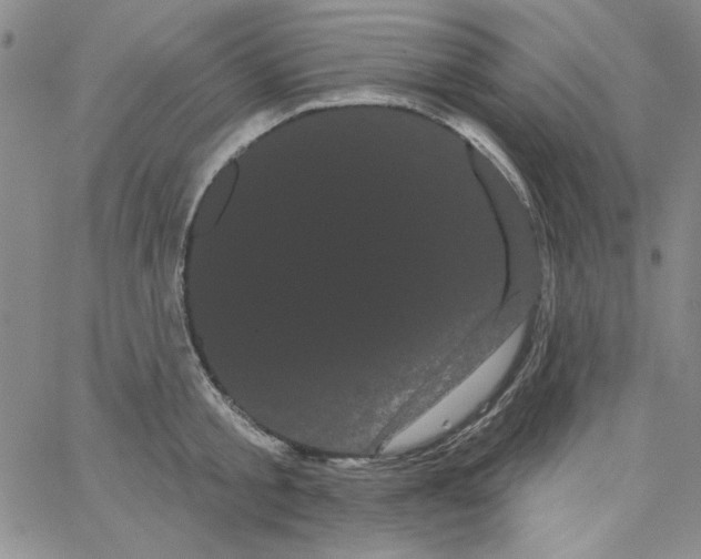 X0000066120805200604071910