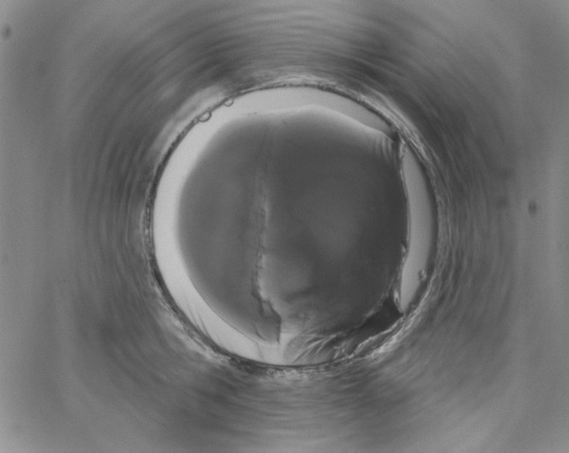 X0000066120806200604071910