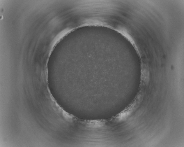 X0000066120807200604071910