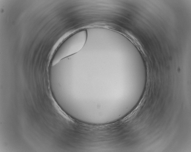 X0000066120808200604071910