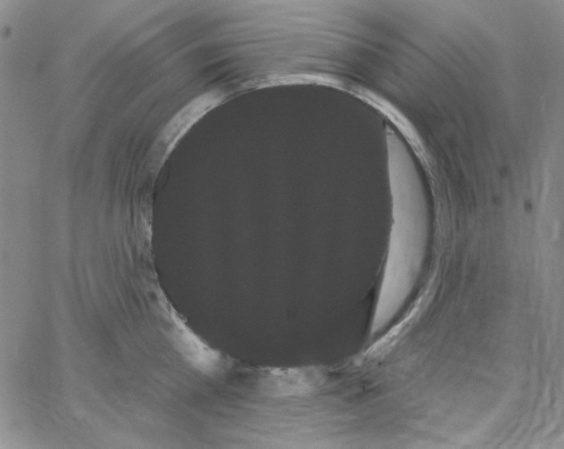 X0000066120809200604071910