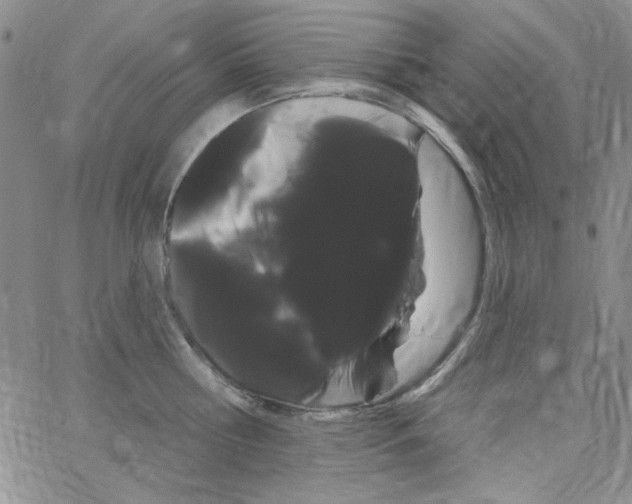 X0000066120810200604071910