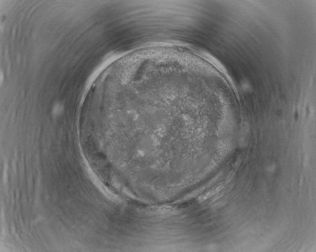 X0000066120811200604071910