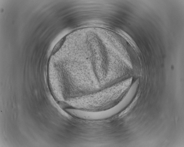 X0000066120812200604071910