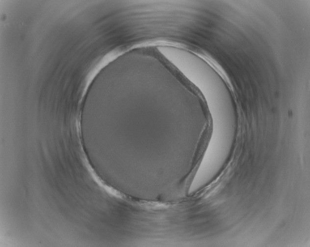 X0000066120813200604071910