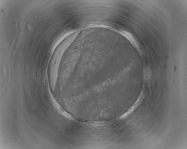 X0000066120814200604071910