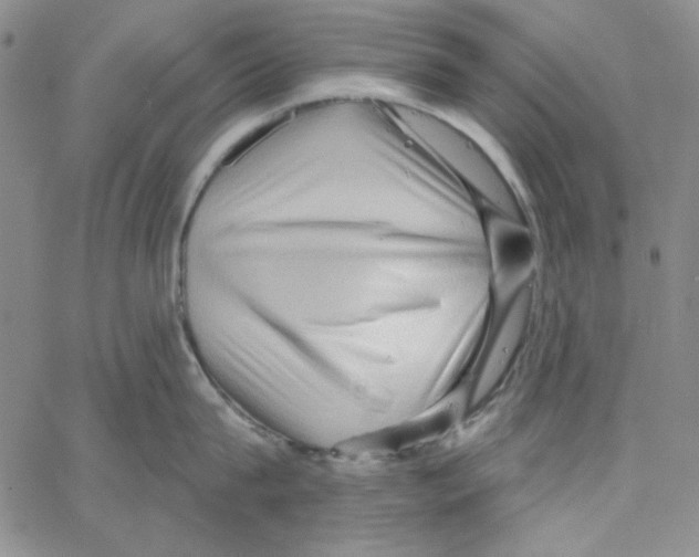 X0000066120815200604071910