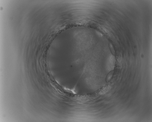 X0000066120817200604071910