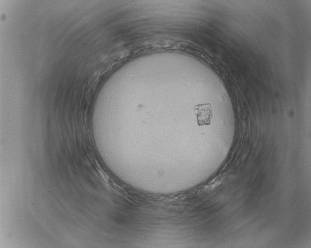 X0000066120820200604071910