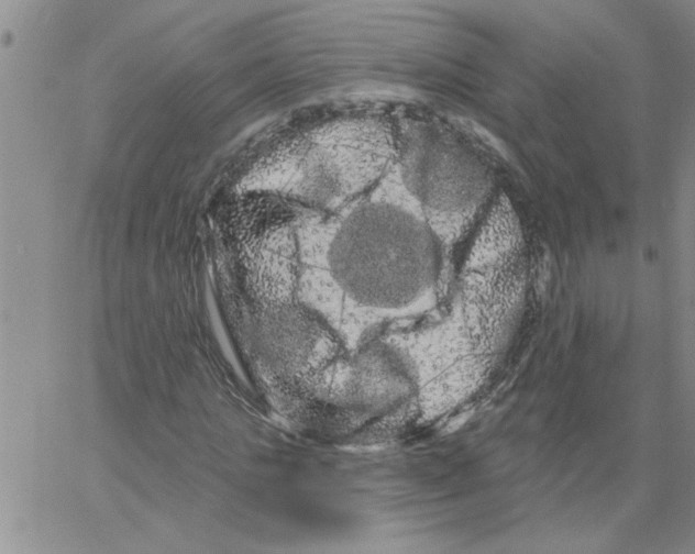 X0000066120821200604071910