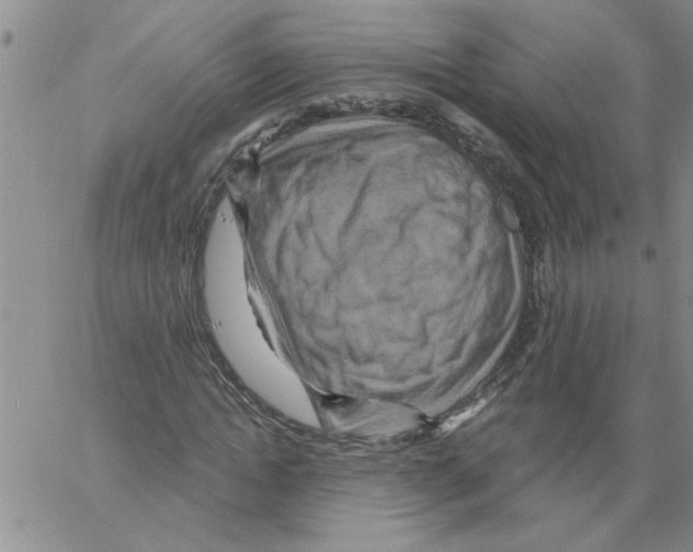 X0000066120822200604071910