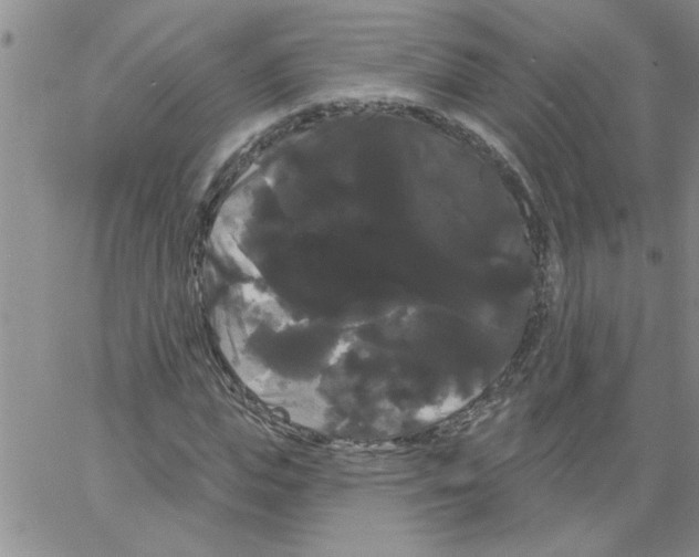 X0000066120823200604071910