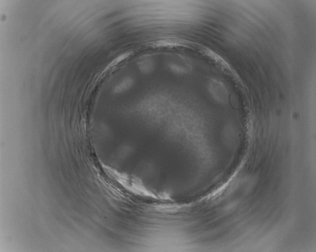 X0000066120825200604071910