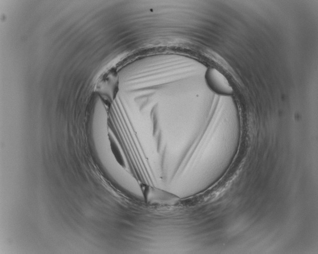 X0000066120826200604071910