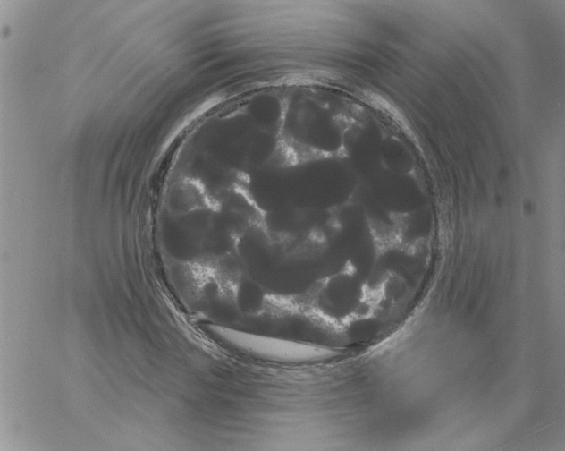 X0000066120827200604071910