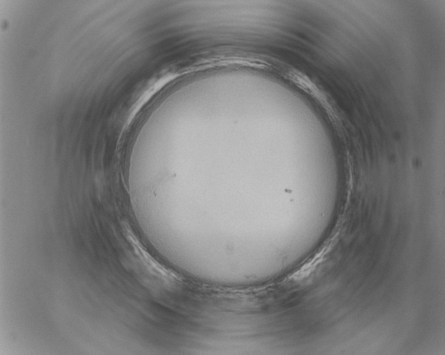 X0000066120828200604071910