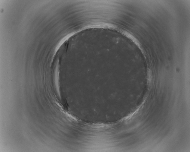 X0000066120829200604071910