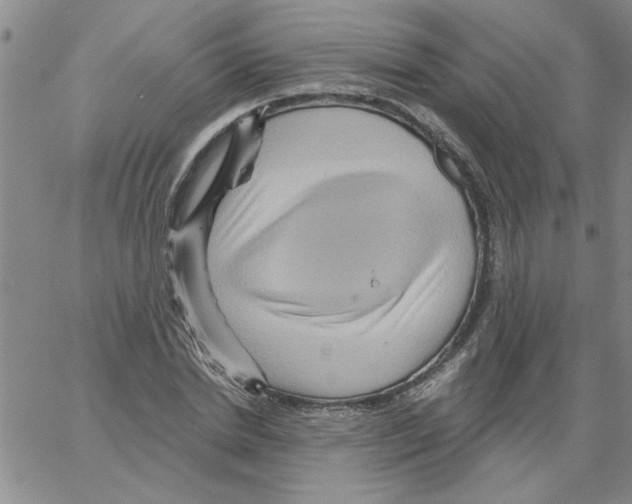 X0000066120830200604071910