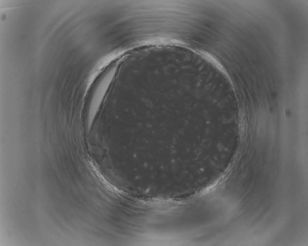 X0000066120831200604071910