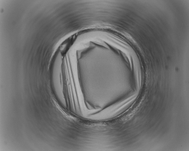 X0000066120838200604071910