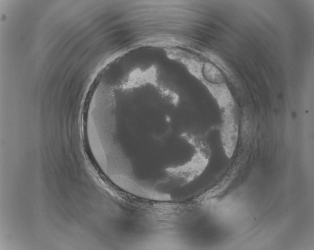 X0000066120840200604071910