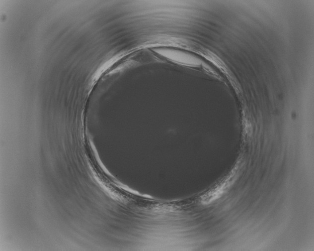 X0000066120842200604071910