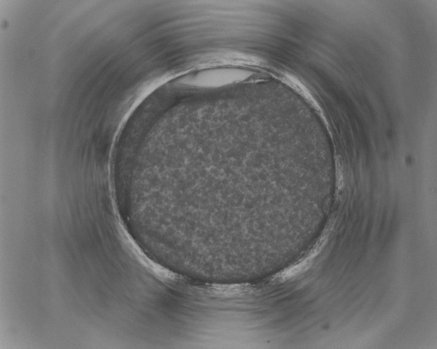 X0000066120843200604071910