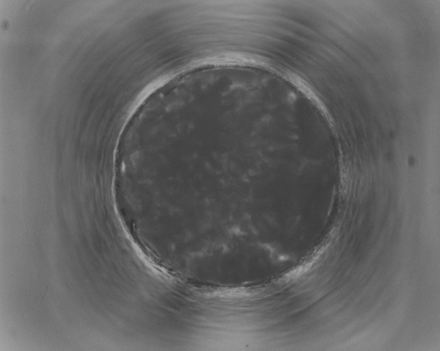 X0000066120845200604071910