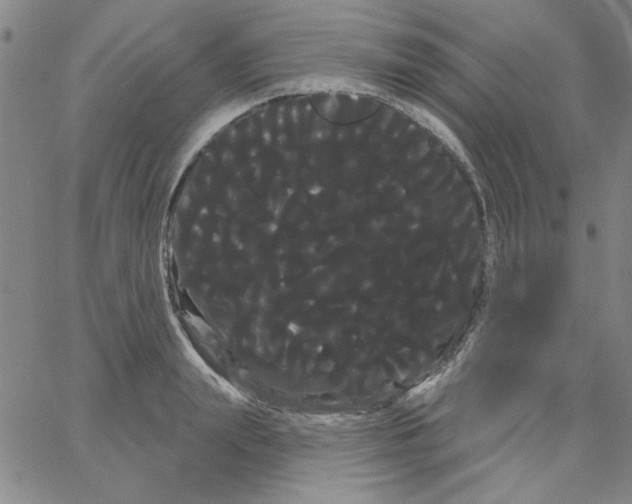 X0000066120847200604071910