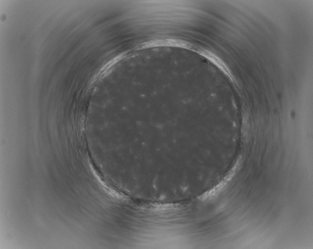 X0000066120849200604071910