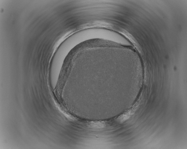 X0000066120850200604071910