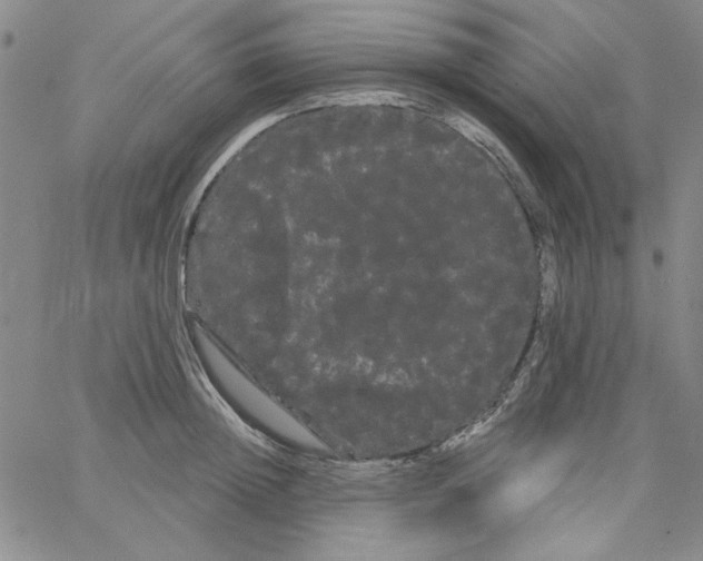 X0000066120852200604071910