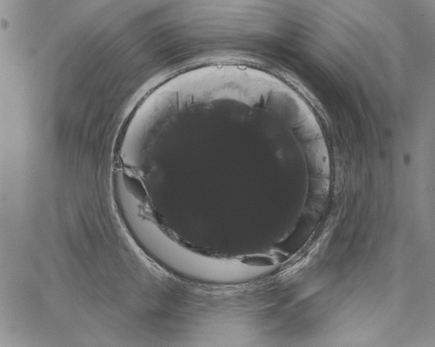 X0000066120853200604071910