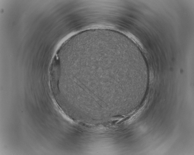 X0000066120854200604071910