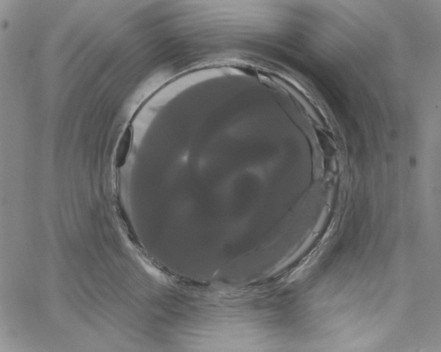 X0000066120858200604071910