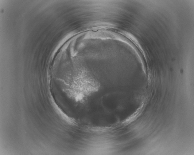 X0000066120859200604071910