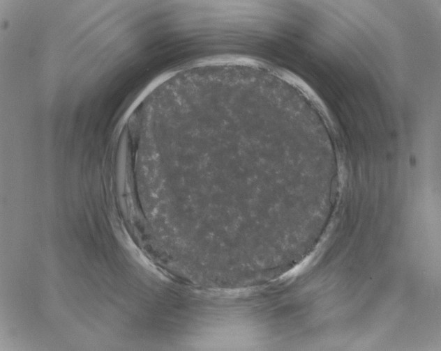 X0000066120860200604071910