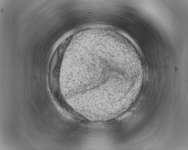 X0000066120861200604071910