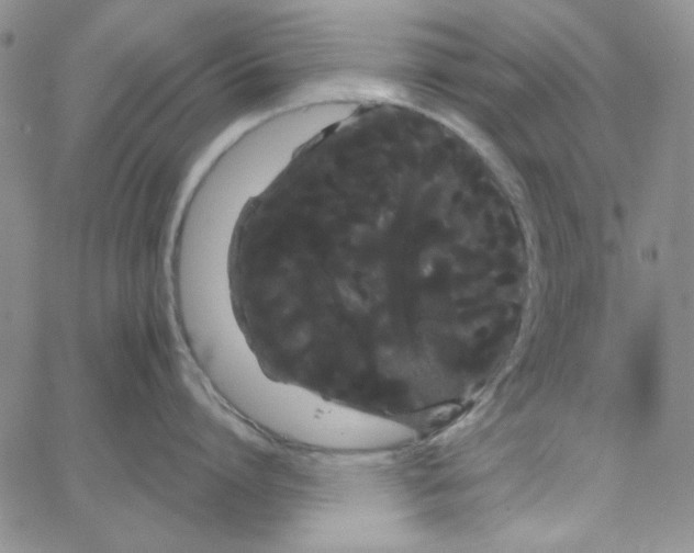 X0000066120864200604071910