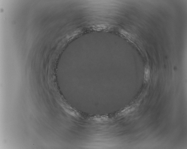 X0000066120865200604071909