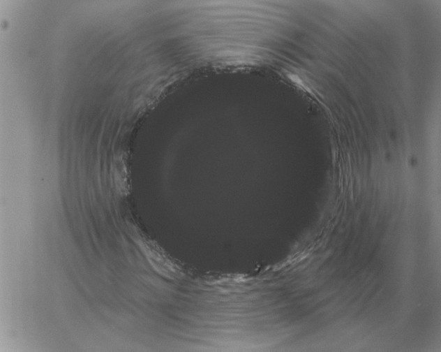 X0000066120868200604071909