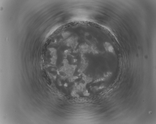 X0000066120871200604071909