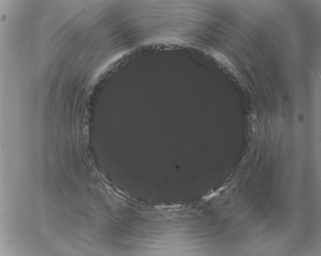 X0000066120872200604071909