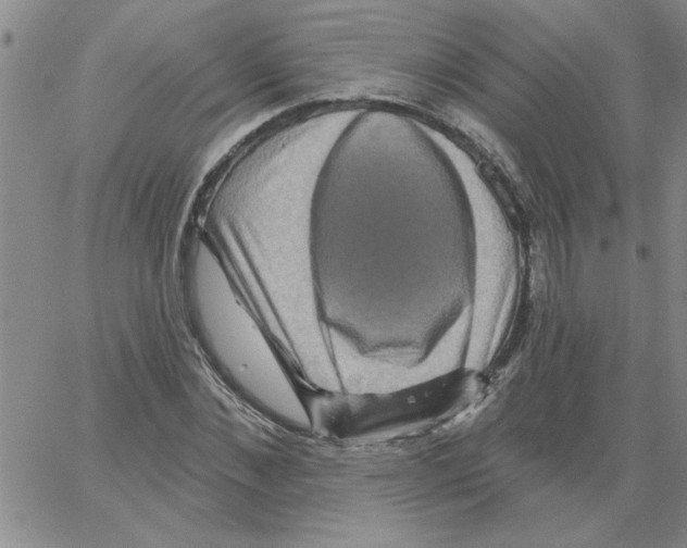 X0000066120876200604071909