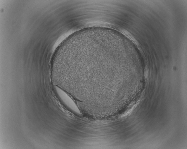 X0000066120877200604071909