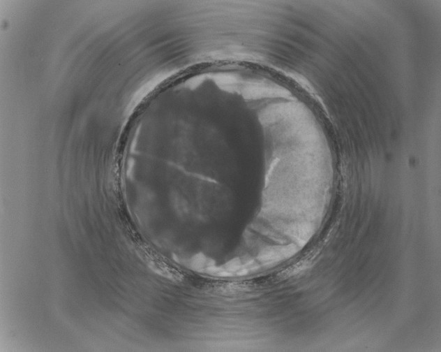 X0000066120879200604071909