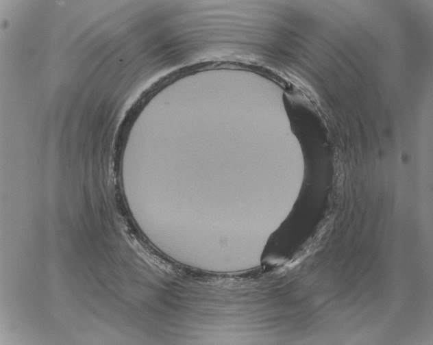 X0000066120880200604071909