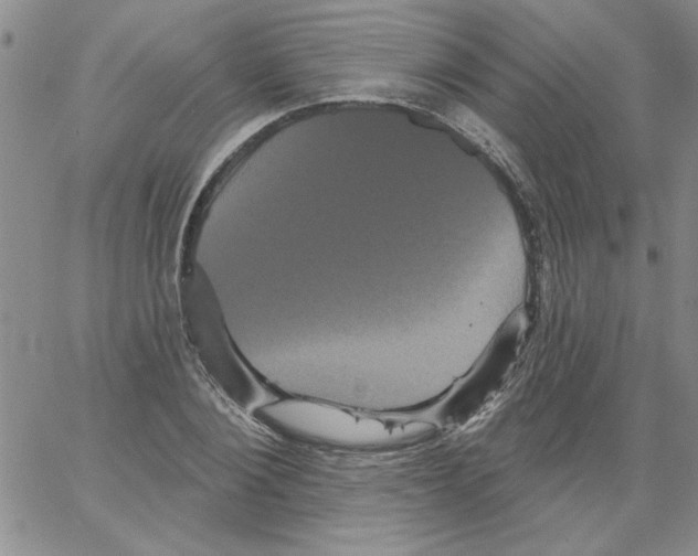 X0000066120884200604071909