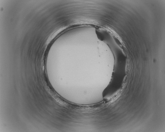 X0000066120885200604071909