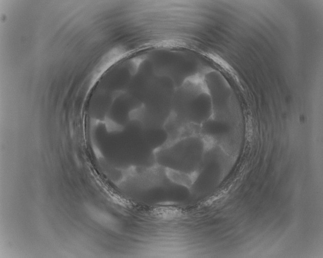 X0000066120886200604071909